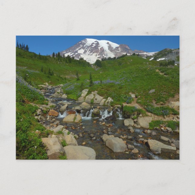 Carte Postale Edith Creek dans le parc national Mount Rainier (Devant)