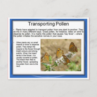 Carte Postale Éducation, Science, Vie, Transport du pollen