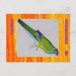 Carte Postale Edward Lear. La Perruche de Bauer.