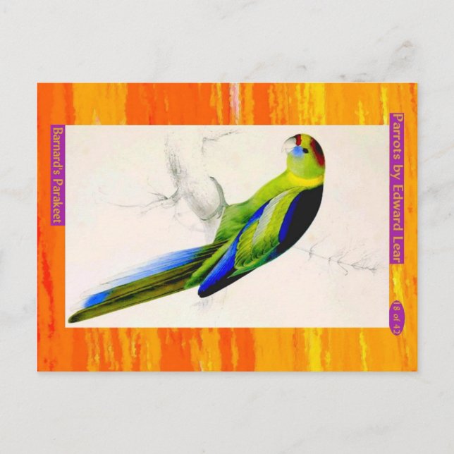 Carte Postale Edward Lear. La Perruque de Barnard. (Devant)