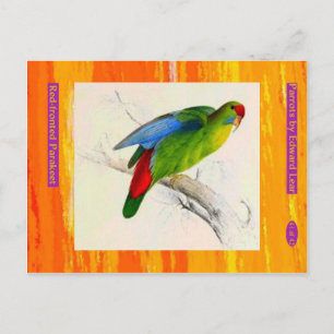 Carte Postale Edward Lear. Perruche à front rouge.