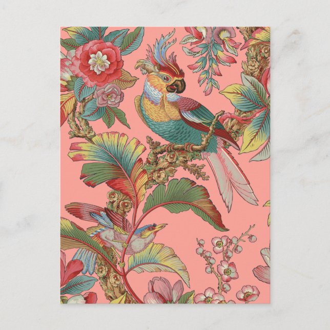 Carte Postale Edwardian Parrot ~ Duchesse (Devant)