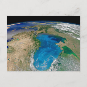 Carte Postale Efflorescence de phytoplancton bleu dans la mer No