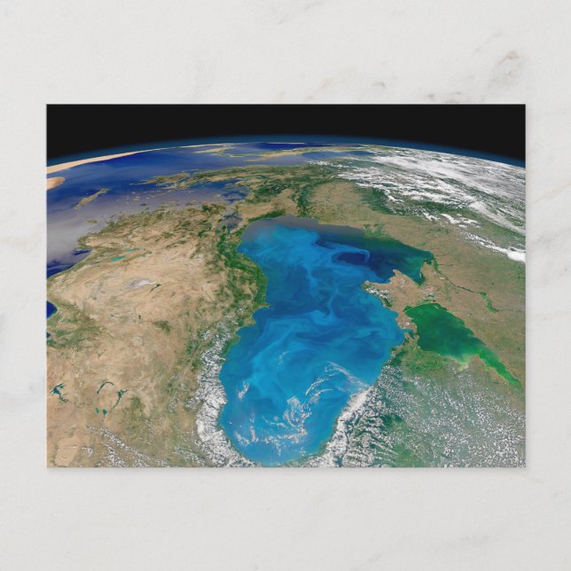Carte Postale Efflorescence de phytoplancton bleu dans la mer No (Devant)
