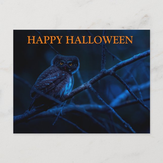 Carte postale Effrayant Halloween Night with Owls (Devant)