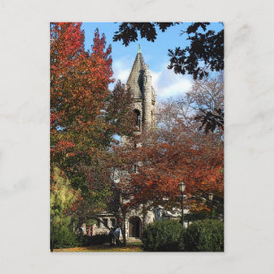 Carte Postale Église et Maples