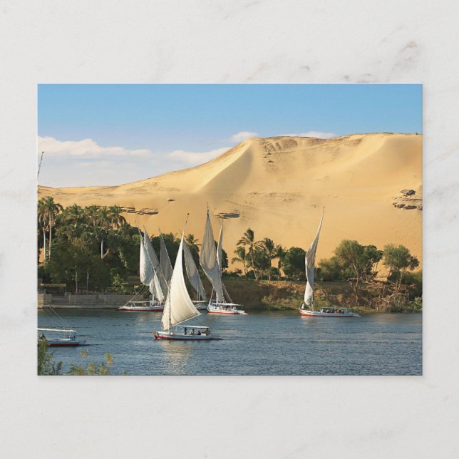 Carte Postale Egypte, Assouan, Nil, Bateaux à voile Felucca, 2 (Devant)