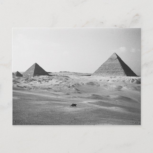 Carte Postale Égypte du Caire, Pyramides de Gizeh (Devant)
