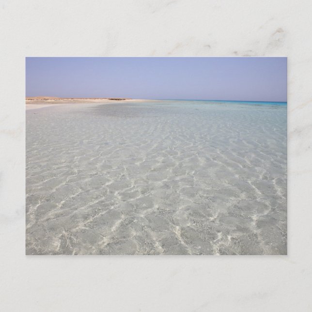 Carte Postale Égypte, mer Rouge, Marsa Alam, Sharm El Luli, plag (Devant)