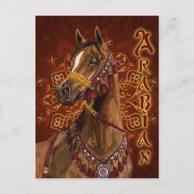 Carte postale égyptienne Dream Arabian (Devant)