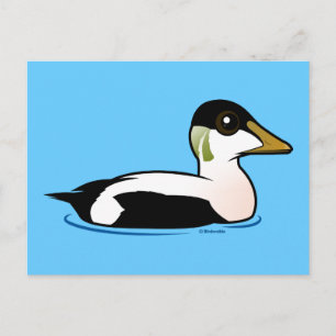Carte Postale Eider commun Birdorable