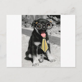 Carte Postale Einstein est un chien de chiot noir intelligent