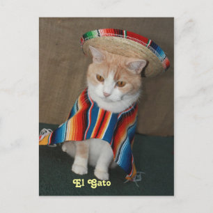 Carte Postale El Gato Bubba
