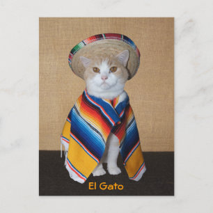Carte Postale El Gato Chat en Sombrero et Serape