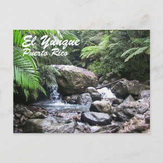 Carte Postale El Yunque, Porto Rico