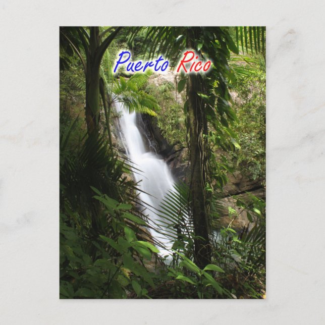 Carte Postale El Yunque Porto Rico (Devant)