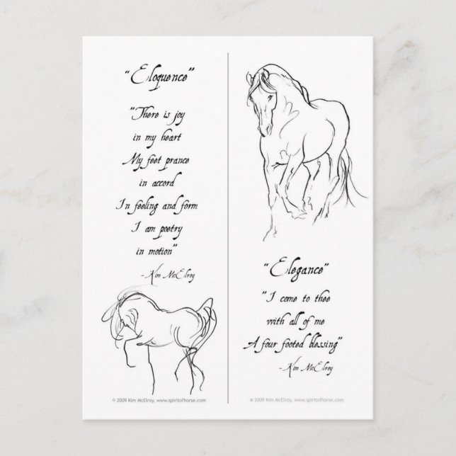 Carte Postale Élégance Éloquent Signet de cheval (Devant)