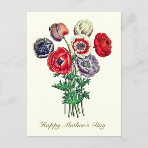 Carte Postale Élégant Anémone Vintage de pavot