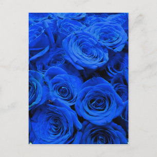 Carte Postale Elégant bleu rose bleu fleurs bleu bleu bleu flora