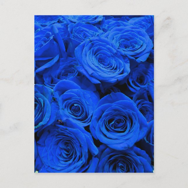 Carte Postale Elégant bleu rose bleu fleurs bleu bleu bleu flora (Devant)