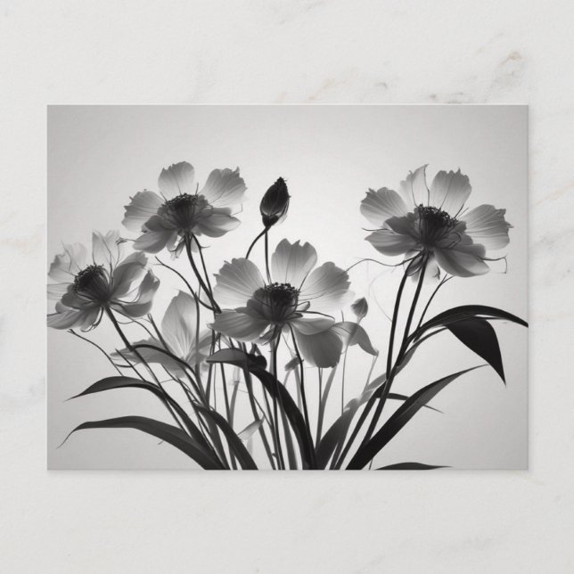 Carte Postale Élégant Cosmos Fleurs en Fleur (Devant)