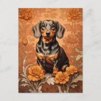 Elégant Dachshund Et Marigolds