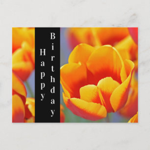 Carte Postale Elégant Jaune et Tulipe Rouge Joyeux Anniversaire