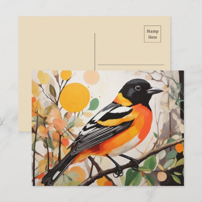 Carte Postale Elégant oiseau de printemps Baltimore Oriole (Devant / Derrière)