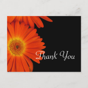 Carte Postale Elégant orange gerbera marguerite fleurs de mariag