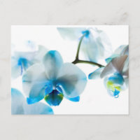 Elégant Orchidées Bleues Personnalisées