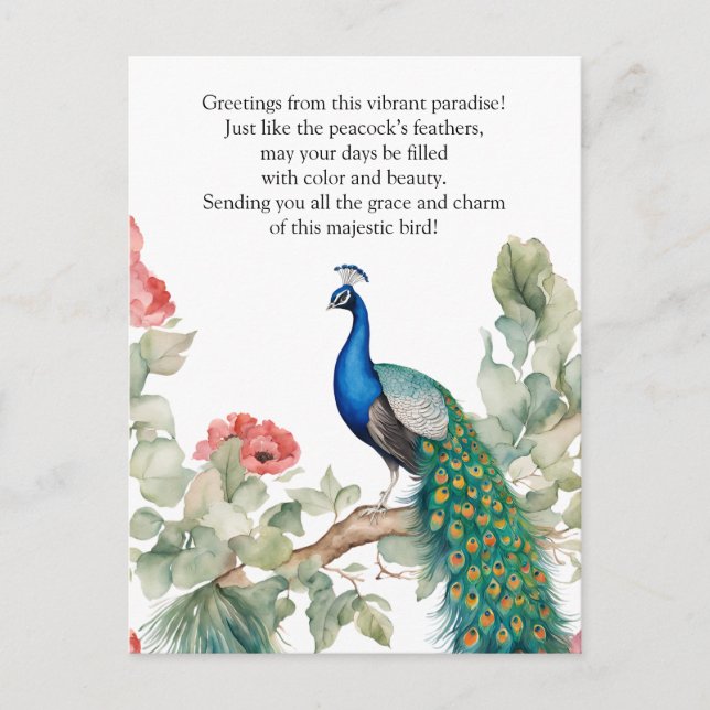 Carte Postale Elégant Peacock (Devant)