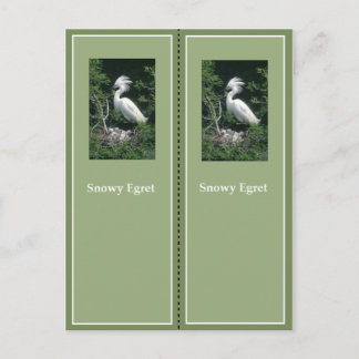 Carte Postale Élégant Signet d'aigrette neigeuse