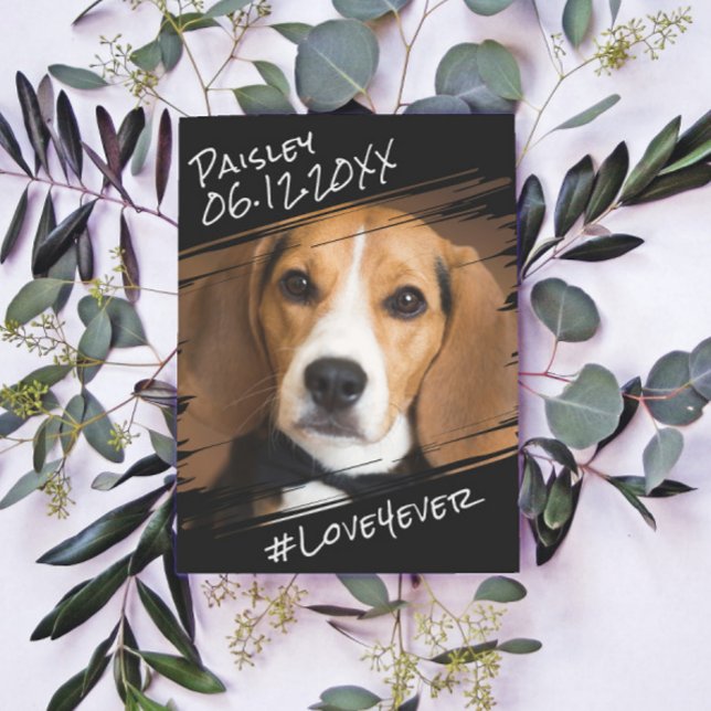 Carte Postale Élégant Simple Moderne et Chic Cadeau pour Chien N (Créateur téléchargé)