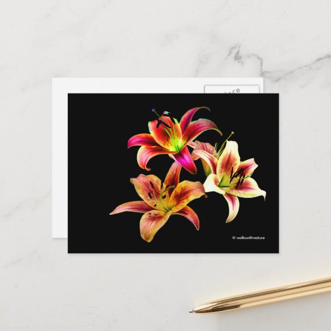 Carte Postale Elégant trio de jours roses jaunes Floral (Devant/Arrière en situation)