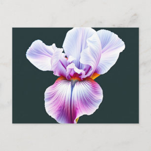 Carte Postale Elégante aquarelle Fleur d'Iris avec pétales délic