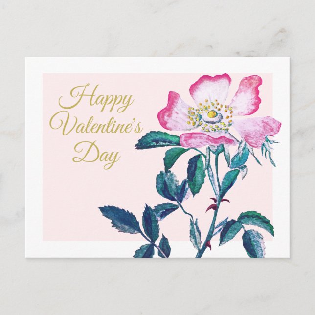 Carte Postale Elégante aquarelle Fleur Rose sauvage Valentine (Devant)