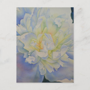 Carte Postale Elégante aquarelle fleurie de pivoine blanche