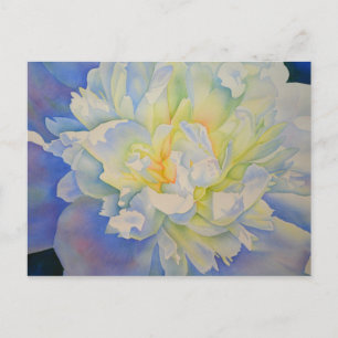 Carte Postale Elégante aquarelle fleurie de pivoine blanche