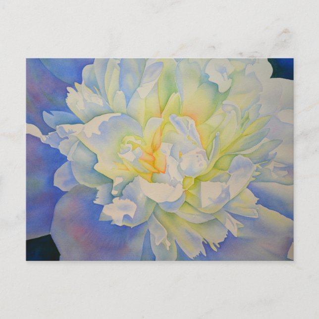 Carte Postale Elégante aquarelle fleurie de pivoine blanche (Devant)