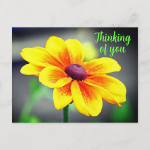 Carte Postale Elégante Fleur simple JauneOrange Penser à vous