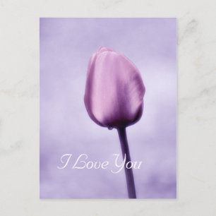 Carte Postale Élégante Lavande Violette Tulipe Je T'Aime