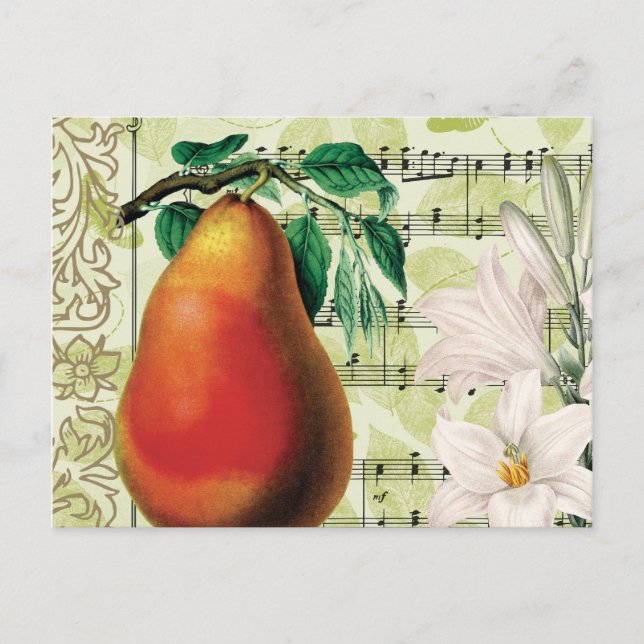 Carte Postale Élégante oreille (Devant)