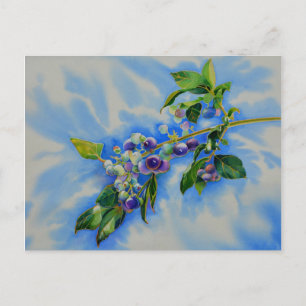 Carte Postale Elégante peinture à l'aquarelle de bleuet