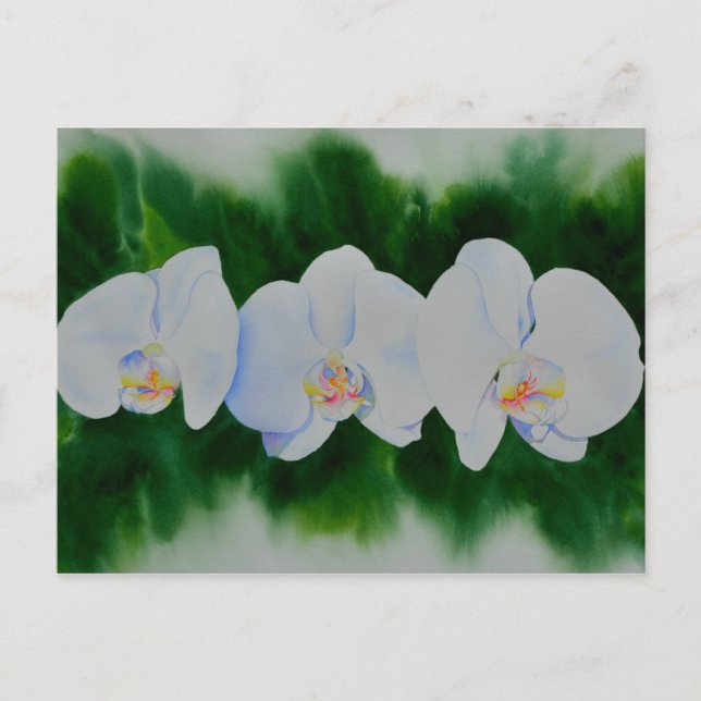 Carte Postale Elégante peinture d'orchidée tropicale blanche (Devant)