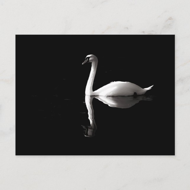 Carte Postale Élégante Réflexion Du Cygne Blanc Sur Black Lake (Devant)
