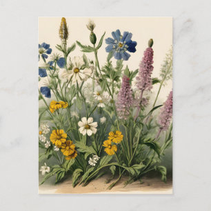 Carte Postale Élégants Fleurs sauvages Vintages