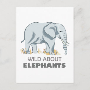 CARTE POSTALE ÉLÉPHANT