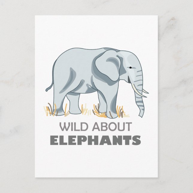 CARTE POSTALE ÉLÉPHANT (Devant)