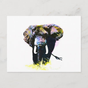 Carte Postale Eléphant