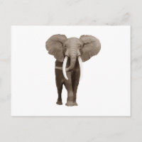 Eléphant